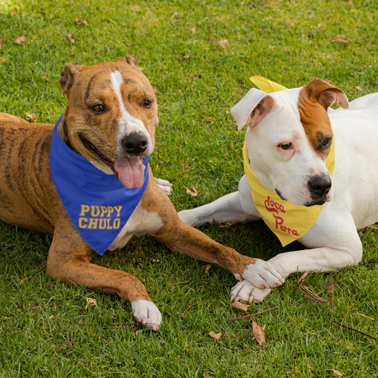 Que Rico T-Shirt Co. Pet Bandanas